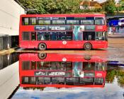 Bus Reflections