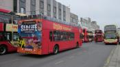 Brighton Buses