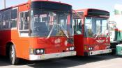 Two Hino Buses