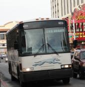 Grey Hound Bus.march 2012.