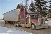 Maye Trucking Peterbilt 379