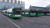 Parked buses in Tallinn