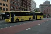 Hills Buses  Sydney