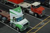 International,  Freightliner,  Auckland