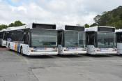 Optare Excells  Ritchies,  Albany