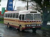 Suva Buses
