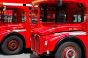 Routemaster Red.
