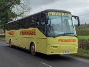 Primrose Coaches
