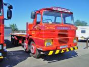 Reed,s Transport - Tan 509m