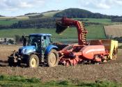 Potato Harvester