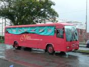 Suva Buses