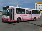 Suburban Bus,  Kushiro