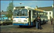 Ulsterbus Leopards