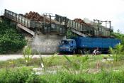 Loading Palm Oil Kernels