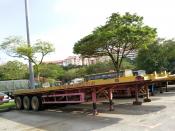45 Footer Or 40 Footer Flat Trailer , Ag Teck Choon