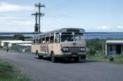 Buses From Across The World