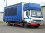 Daf Pigeon Transporter